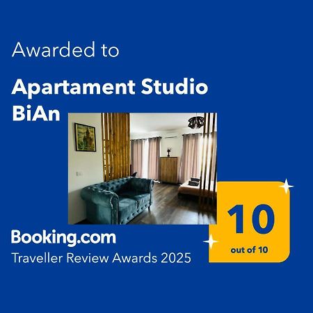 Apartament Studio Bian Τιμισοάρα Εξωτερικό φωτογραφία
