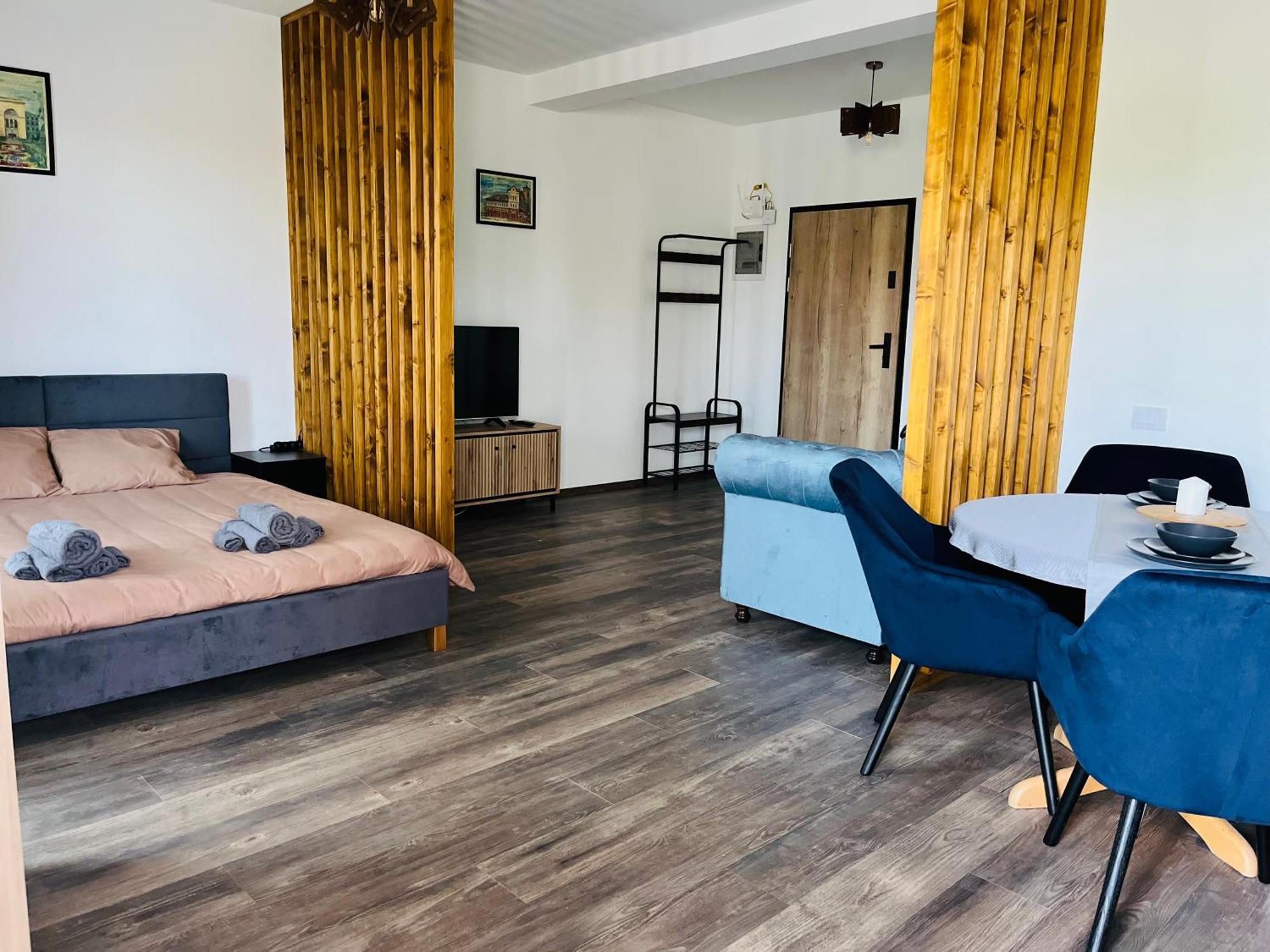 Apartament Studio Bian Τιμισοάρα Εξωτερικό φωτογραφία