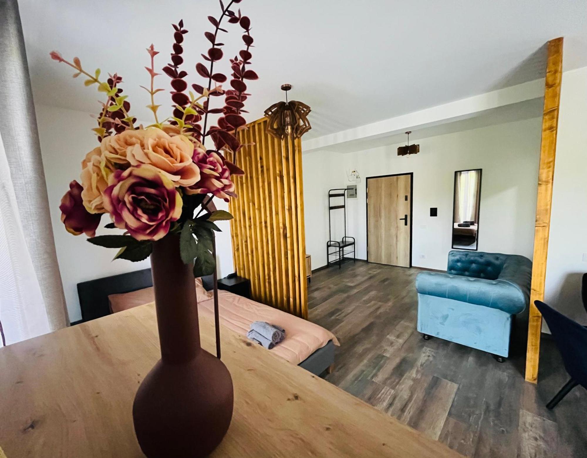 Apartament Studio Bian Τιμισοάρα Εξωτερικό φωτογραφία