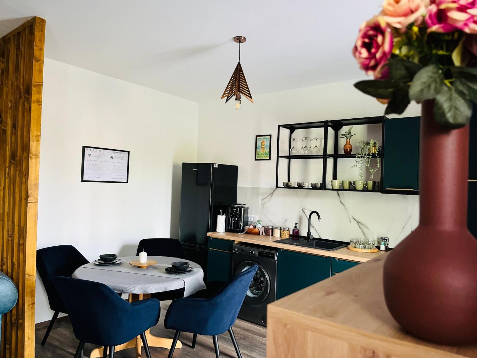 Apartament Studio Bian Τιμισοάρα Εξωτερικό φωτογραφία